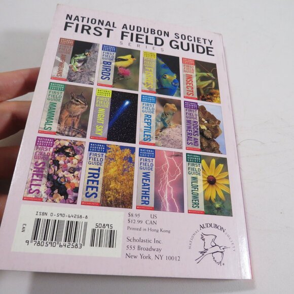 Sea Shells First Field Guide National Audubon Society 2000 LIKE NEW - Picture 2 of 15